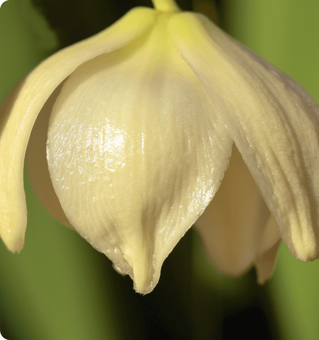 Con Alma Health Foundation | Health Equity New Mexico Grants